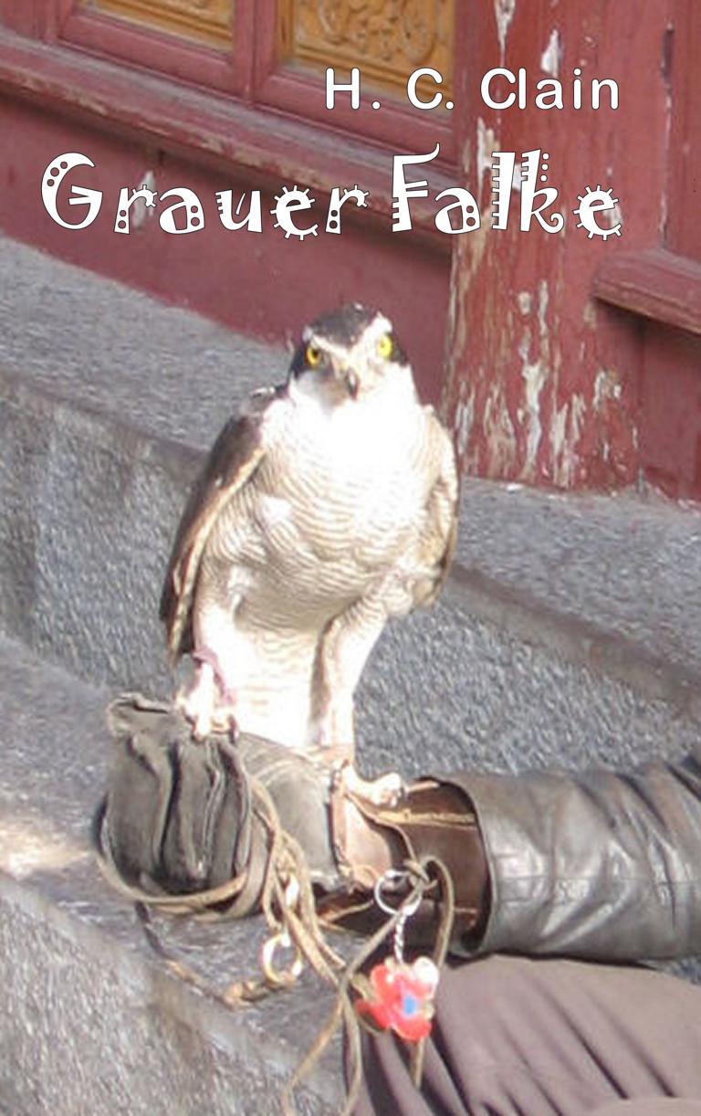 Grauer Falke/Roman, die Flieger